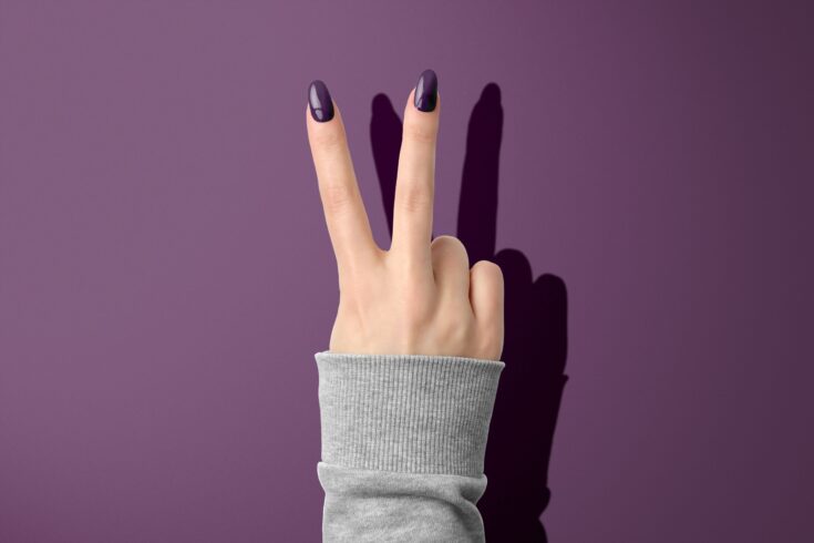 Divine Purple Nails